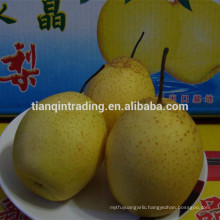chinese ya pear